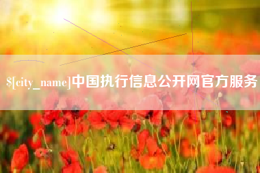 南县中国执行信息公开网官方服务