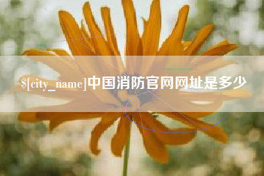 南县中国消防官网网址是多少