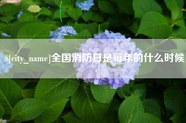 南县全国消防日是每年的什么时候