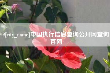 南县中国执行信息查询公开网查询官网