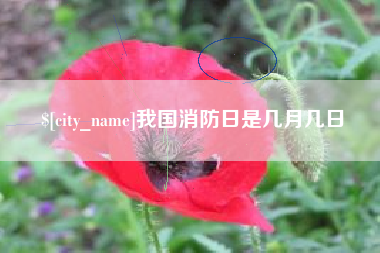 南县我国消防日是几月几日