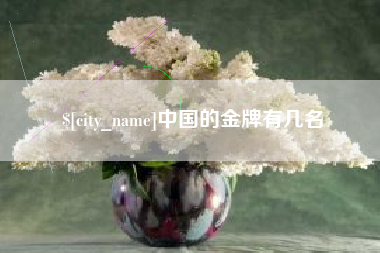 南县中国的金牌有几名
