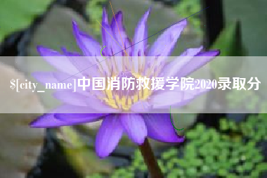 南县中国消防救援学院2020录取分