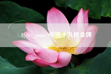 南县中国十九枚金牌