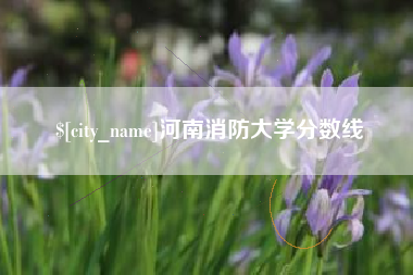 南县河南消防大学分数线