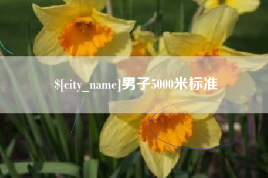 南县男子5000米标准