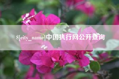 南县中国执行网公开查询