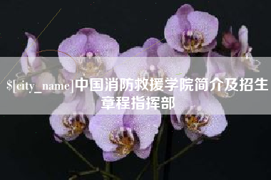 南县中国消防救援学院简介及招生章程指挥部