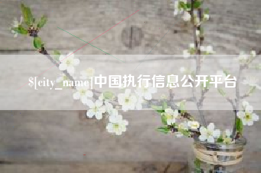 南县中国执行信息公开平台