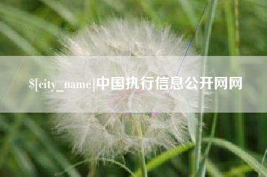 南县中国执行信息公开网网