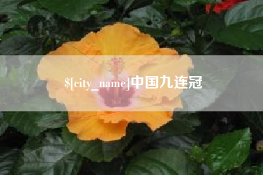 南县中国九连冠