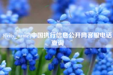 南县中国执行信息公开网客服电话查询