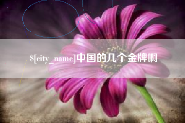 南县中国的几个金牌啊