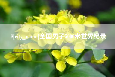 南县全国男子5000米世界纪录