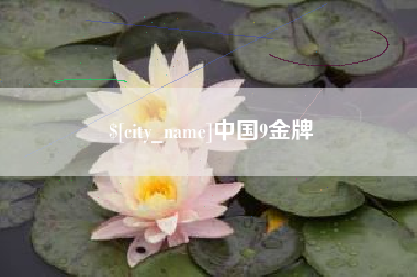 南县中国9金牌