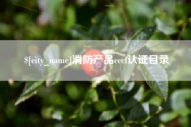 南县消防产品cccf认证目录