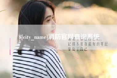 南县消防官网查询系统