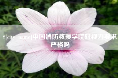 南县中国消防救援学院对视力要求严格吗