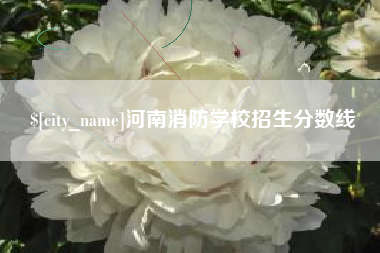 南县河南消防学校招生分数线