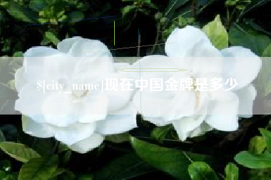 南县现在中国金牌是多少