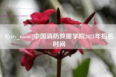 南县中国消防救援学院2021年报名时间