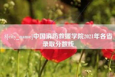 南县中国消防救援学院2021年各省录取分数线