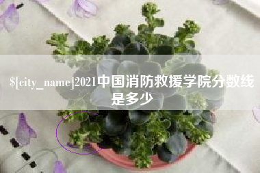 南县2021中国消防救援学院分数线是多少