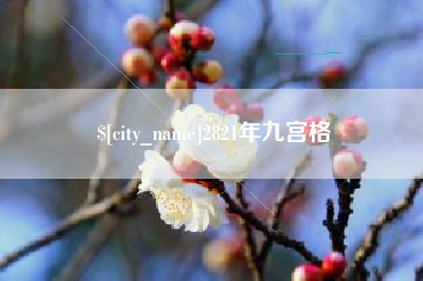 南县2821年九宫格
