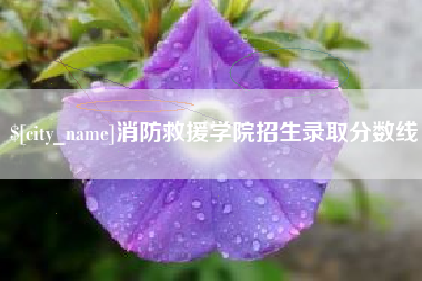南县消防救援学院招生录取分数线