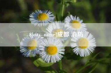 南县成都 消防
