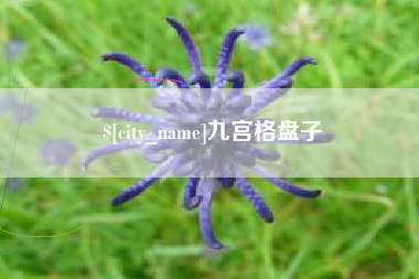 南县九宫格盘子