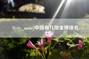 南县中国有几块金牌排名