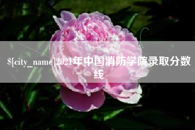 南县2021年中国消防学院录取分数线