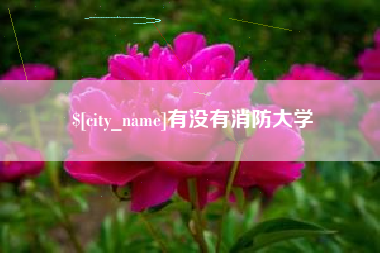 南县有没有消防大学