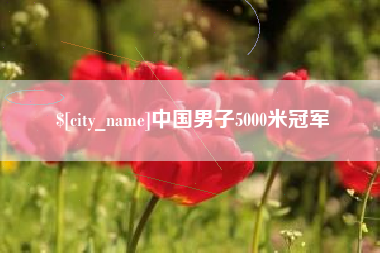 南县中国男子5000米冠军