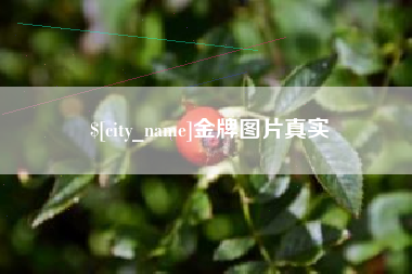 南县金牌图片真实