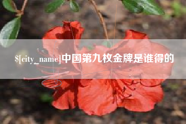 南县中国第九枚金牌是谁得的
