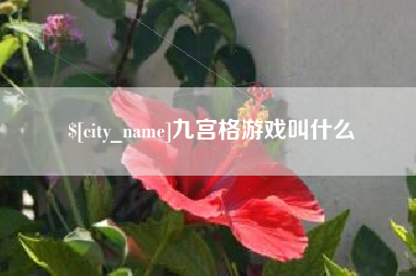 南县九宫格游戏叫什么