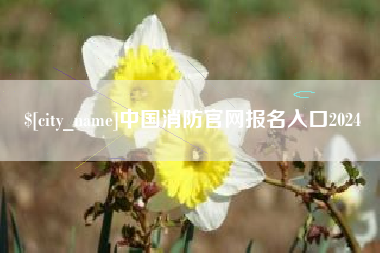 南县中国消防官网报名入口2024