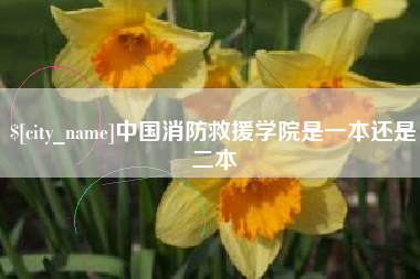 南县中国消防救援学院是一本还是二本