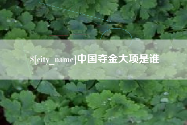 南县中国夺金大项是谁