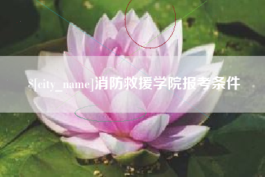 南县消防救援学院报考条件