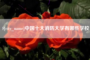 南县中国十大消防大学有哪些学校