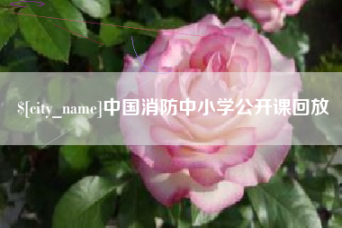 南县中国消防中小学公开课回放