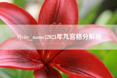 南县2021年九宫格分解图