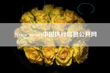 南县中国执行信息公开网