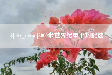 南县5000米世界纪录平均配速