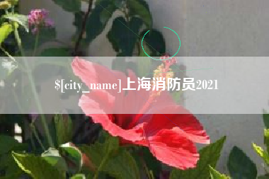 南县上海消防员2021