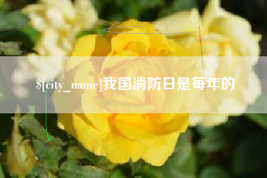 南县我国消防日是每年的