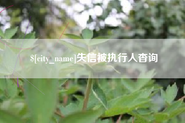 南县失信被执行人杳询
